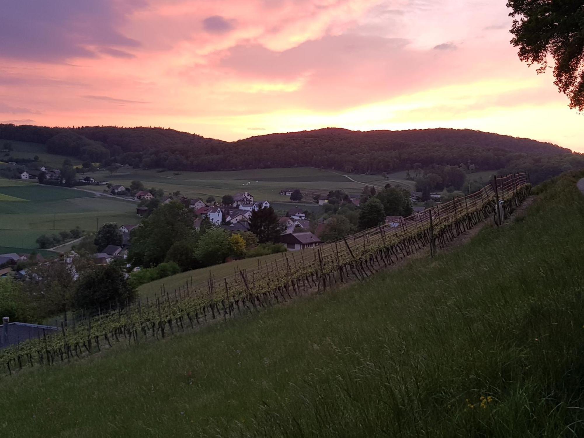 Bnb Moenthal Im Jurapark Екстер'єр фото