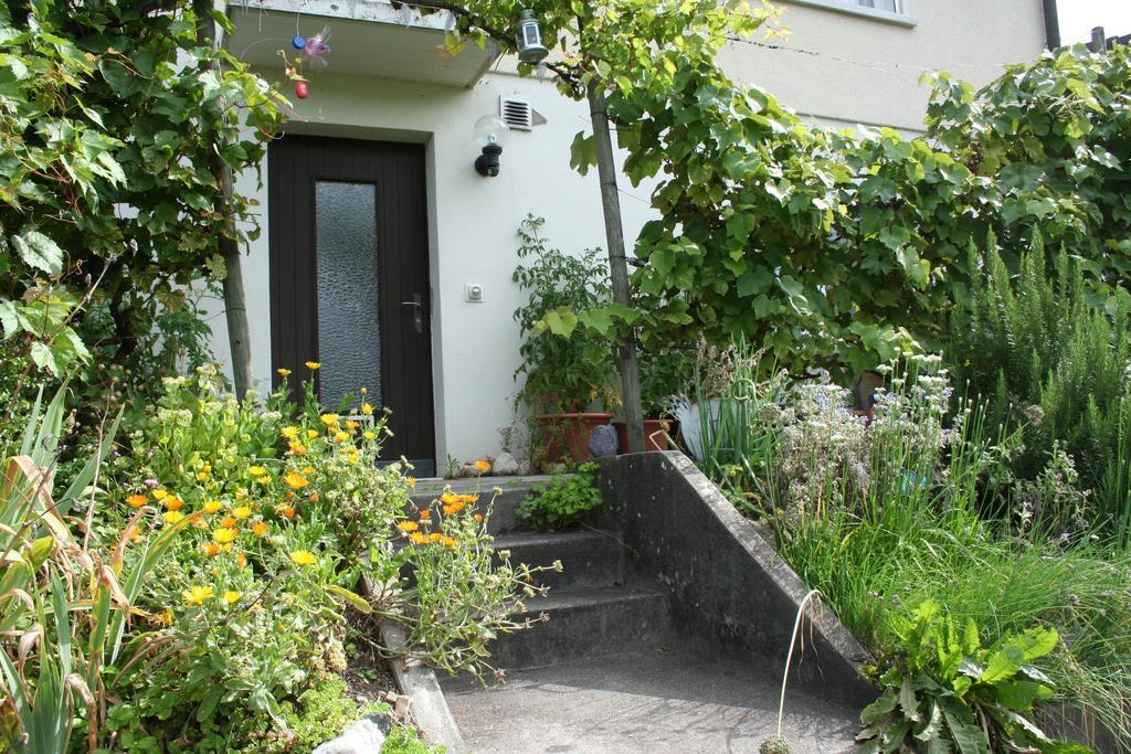 Bnb Moenthal Im Jurapark Екстер'єр фото