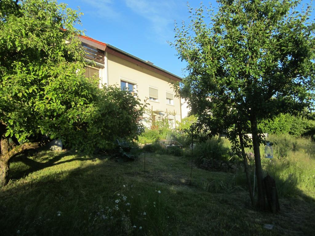Bnb Moenthal Im Jurapark Екстер'єр фото