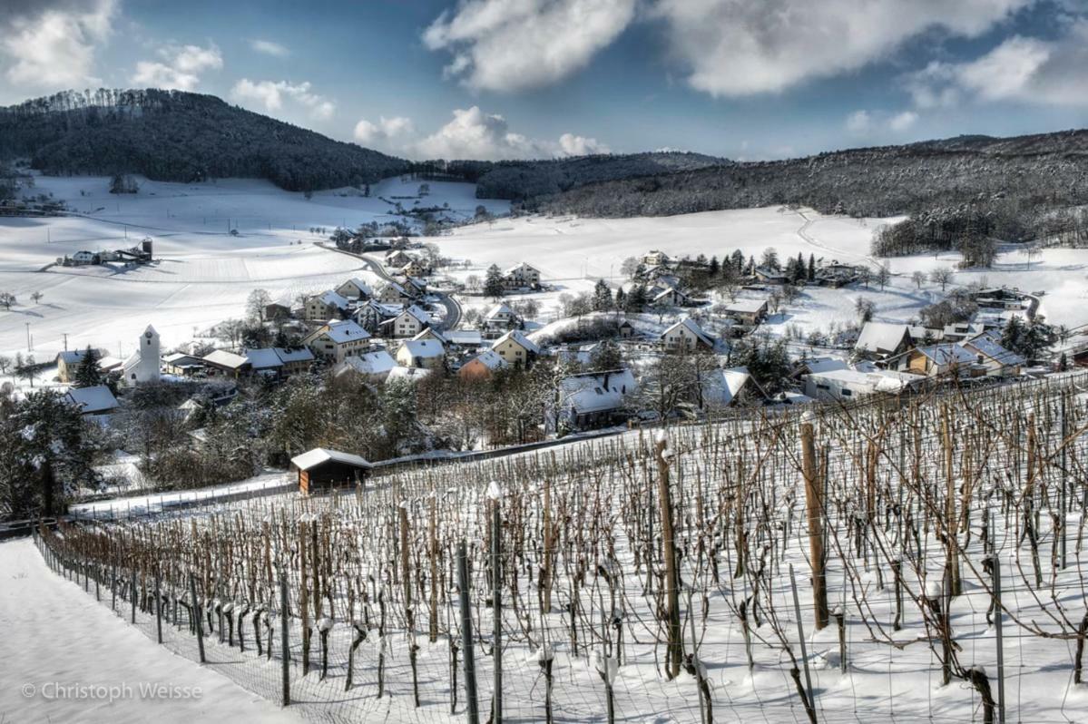 Bnb Moenthal Im Jurapark Екстер'єр фото